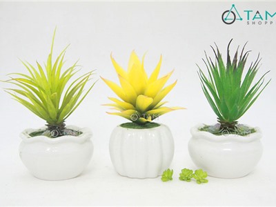 Chậu sen đá giả để bàn số 86